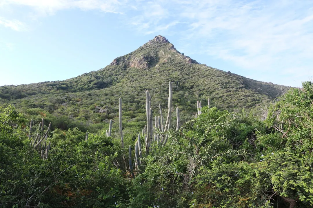 Christoffelpark Curaçao: wandelen, wildlife en de hoogste top — Curaçao