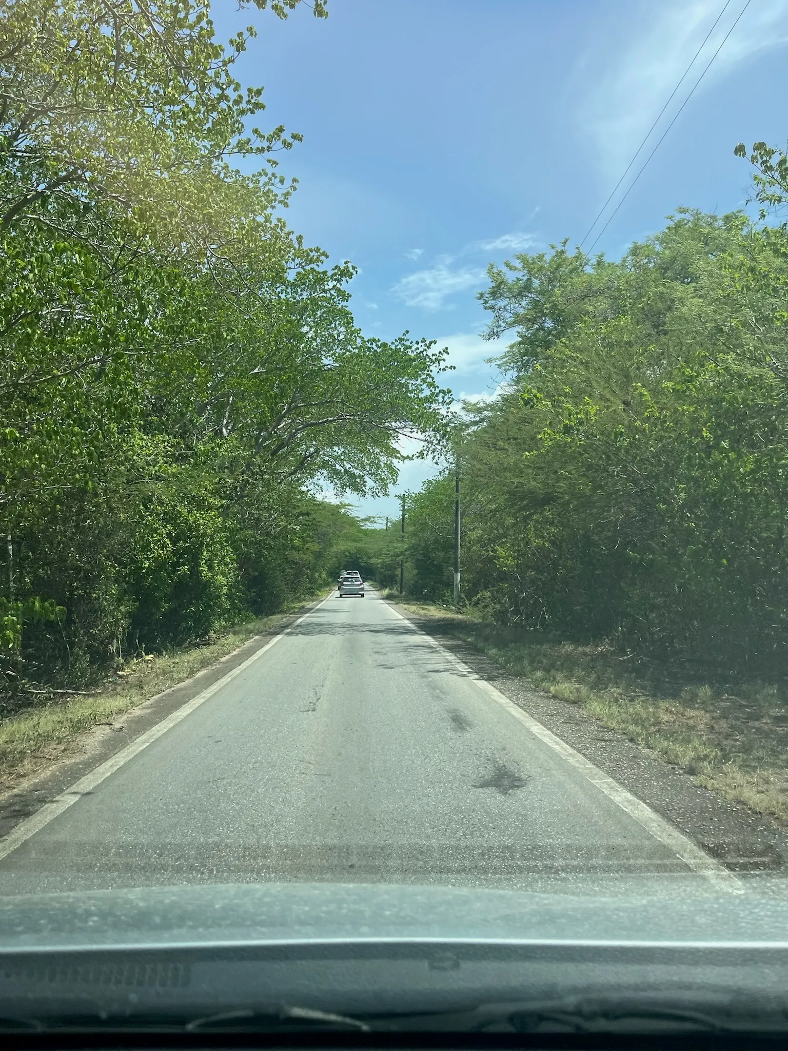 Reiskosten Curaçao: wat kost een week op het eiland? — Curaçao