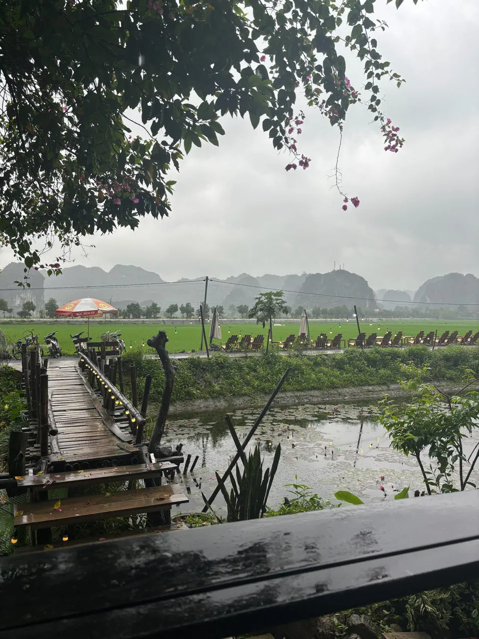 Tam Coc rivier met groene rijstvelden en kalkstenen karst bergen op een bewolkte dag