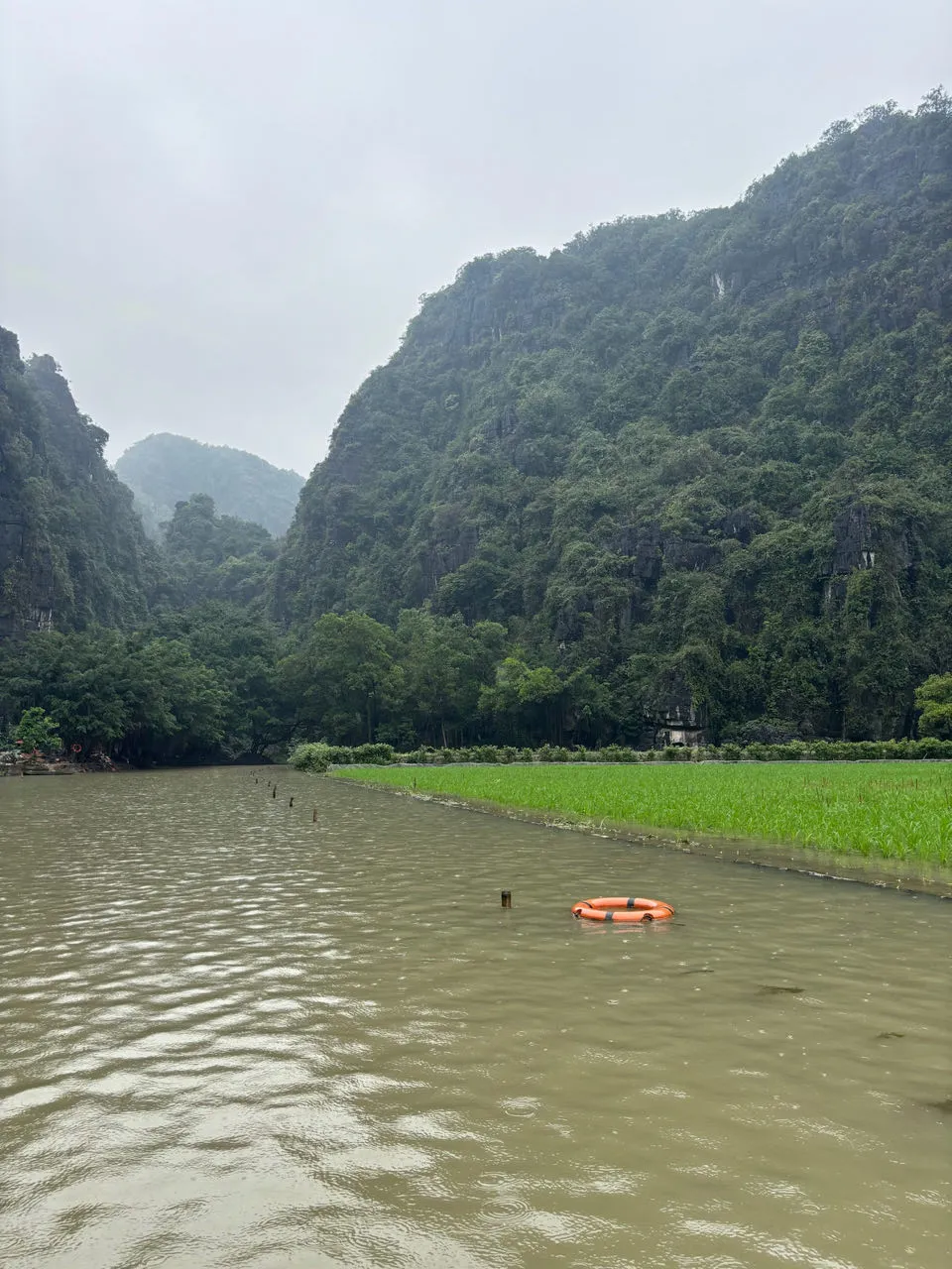 Tam Coc boottocht met groene rijstvelden en karst gebergte aan weerszijden